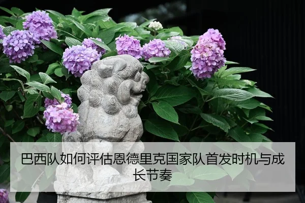 巴西队如何评估恩德里克国家队首发时机与成长节奏